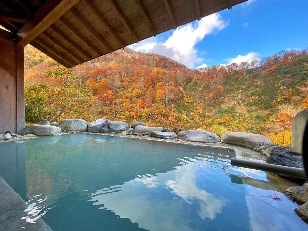 hanabun tsubame onsen, Accommodation in Seki Onsen, Tsubame Onsen accommodation, Places to stay in Seki Onsen, Seki Onsen hotels, Hotels in Seki Onsen